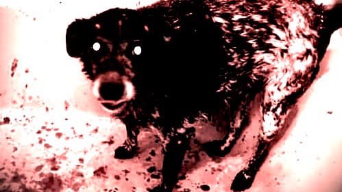 A high saturated image of a dog standing in the floor of a bathtub. Their eyes cannot be since but a light shines in the sockets. The jaw is opened slightly. What appears to be blood stains the floor of the bathtub; the edits giving it a dark red color.